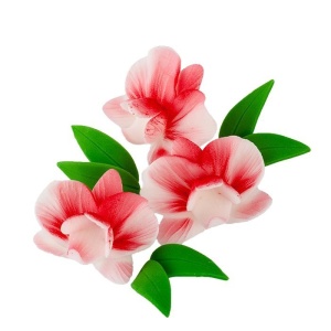Kwiaty cukrowe Zestaw Cymbidium CZERWONE z listkami