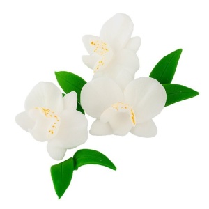 Kwiaty cukrowe Zestaw CYMBIDIUM BIAŁY z listkami